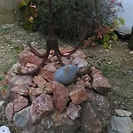 Restovic * Bol