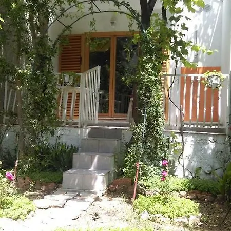 Restovic Бол