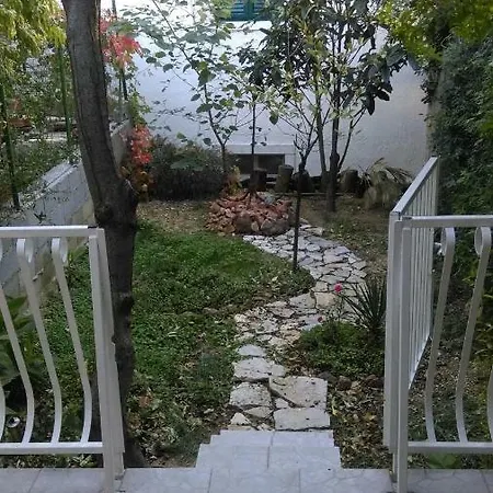 Restovic * Бол