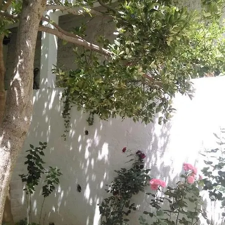 Restovic Apartamento Bol